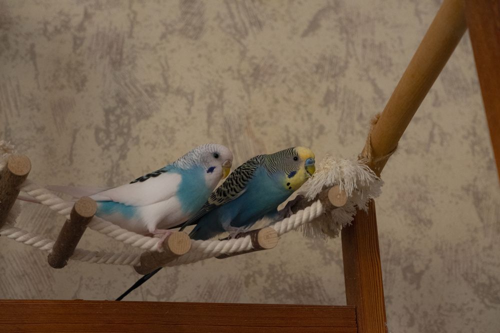 Photograph by Ирина Тихомирова