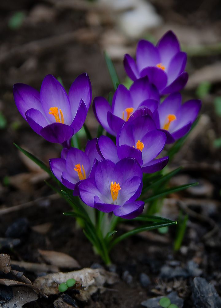 Photograph by Ганна Кліпіна