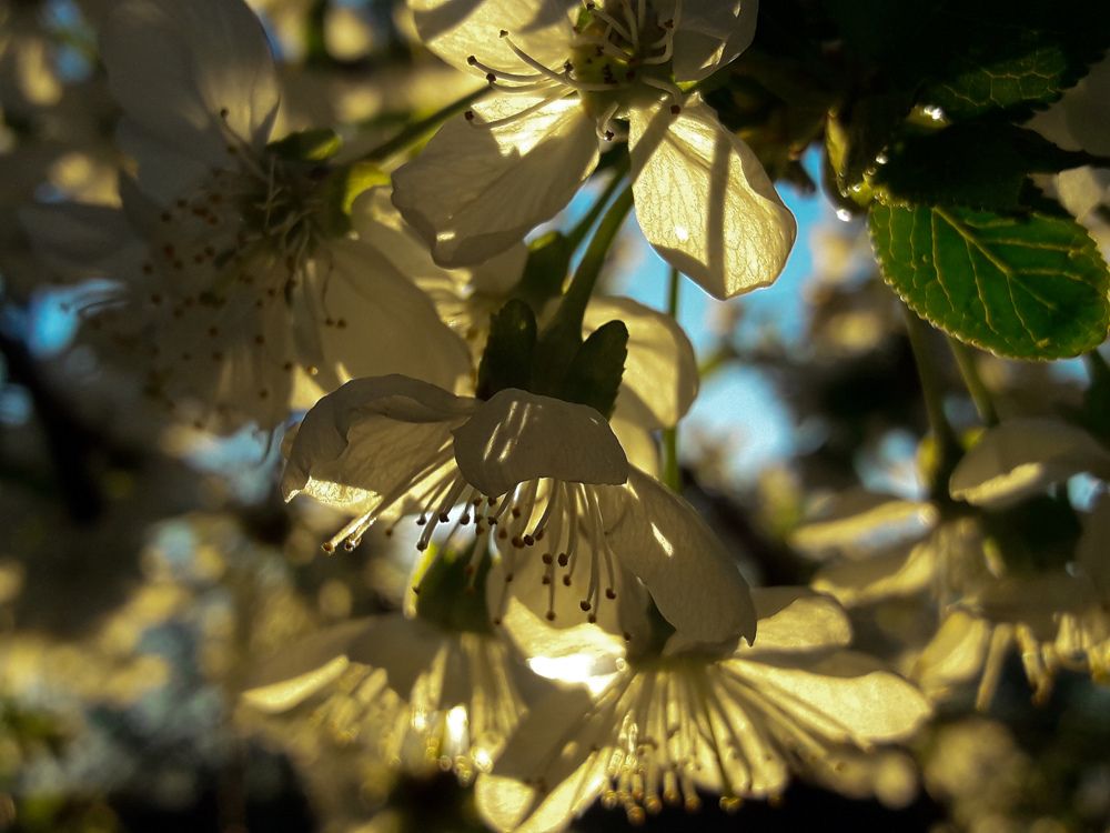 Весна в буднях