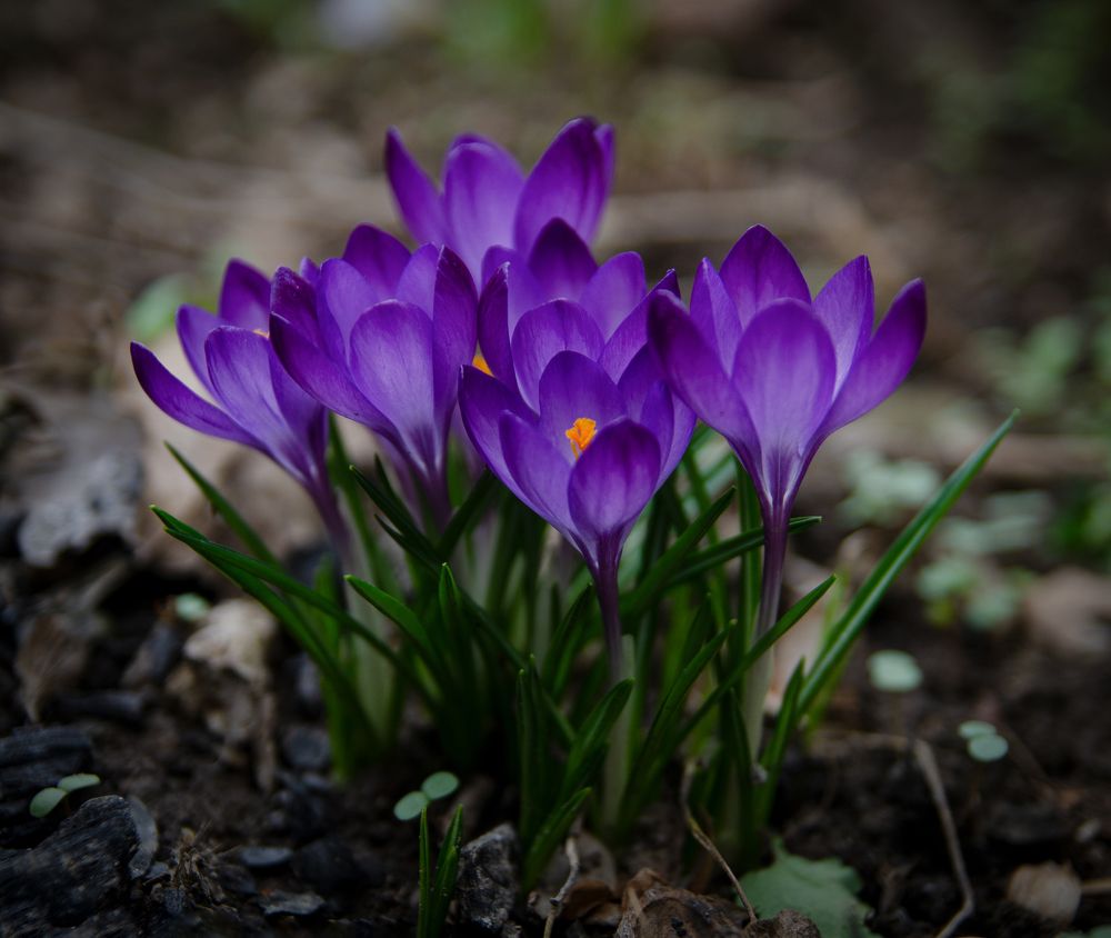 Photograph by Ганна Кліпіна