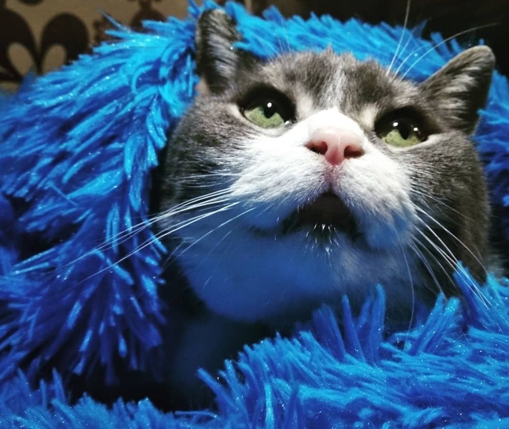 Photograph by Сергей Золотоверхий