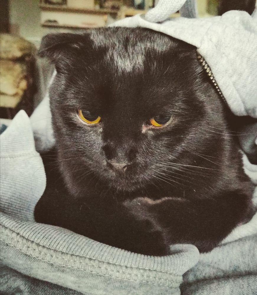 Photograph by Сергей Золотоверхий