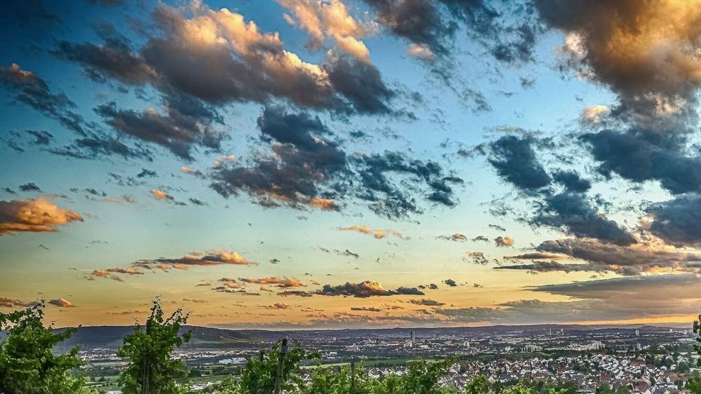 Photograph by Elena Gebert