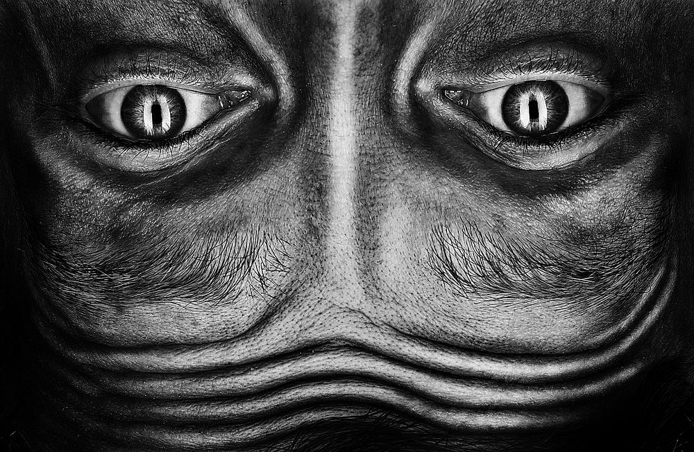 Photograph by Кирилл Гривенюк