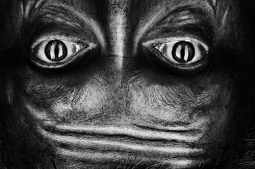 Photograph by Кирилл Гривенюк