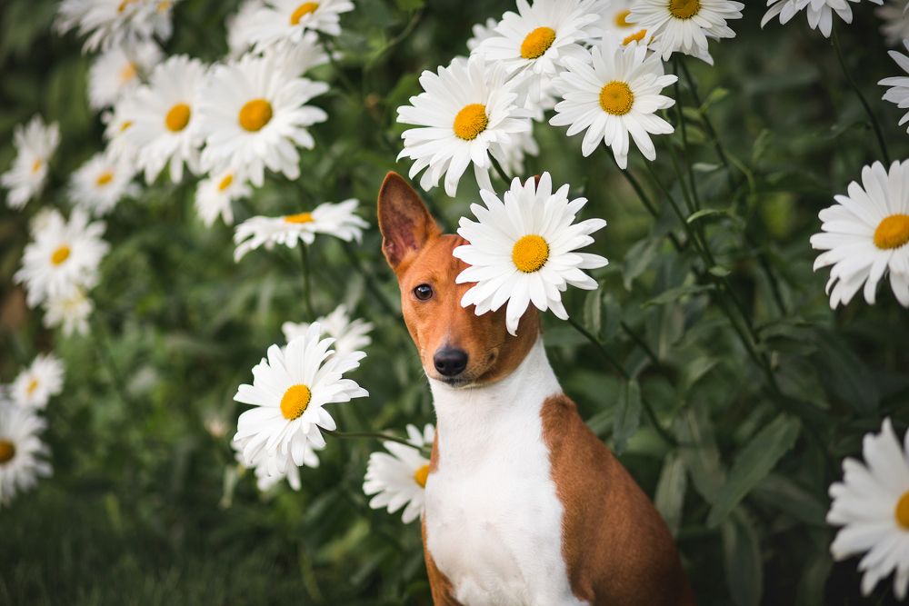 Photograph by Юлия Вербицкая