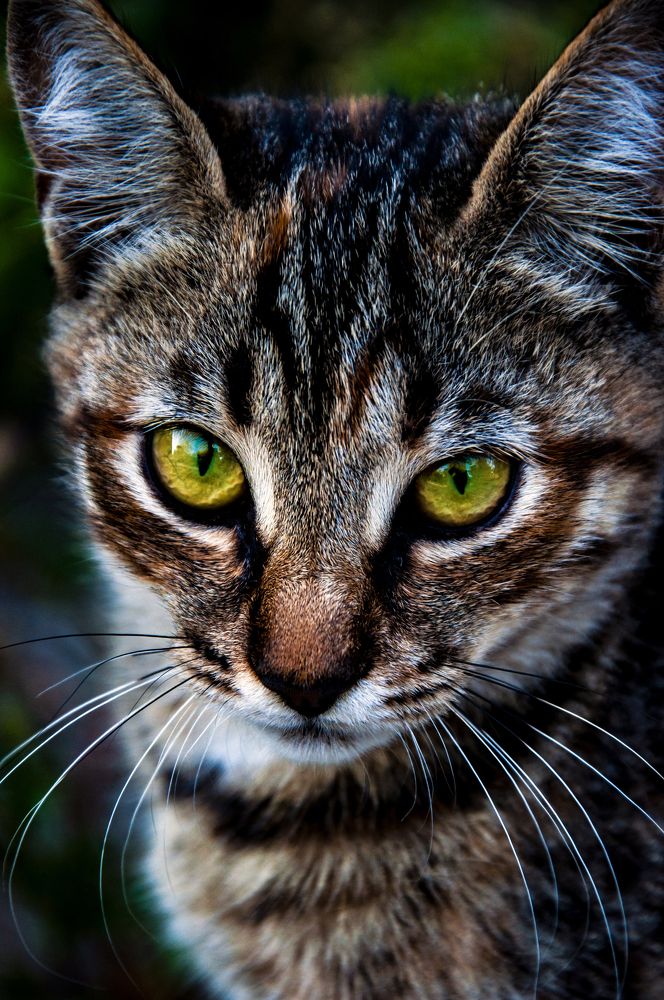 Photograph by Roman Volodin