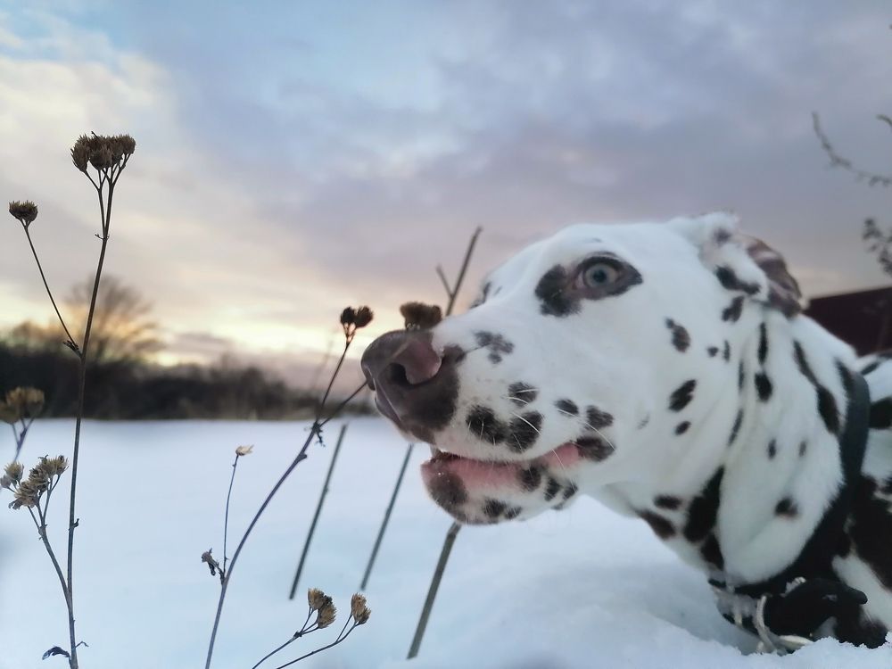 Photograph by Станислав Евсеев