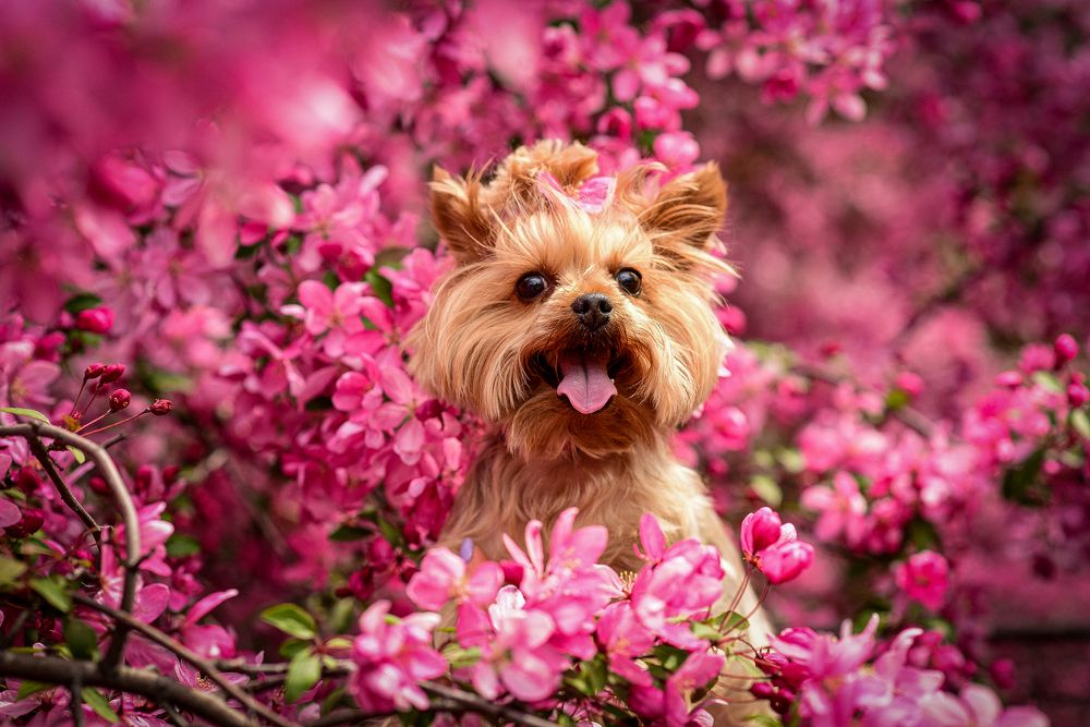 Photograph by Анастасия Донская