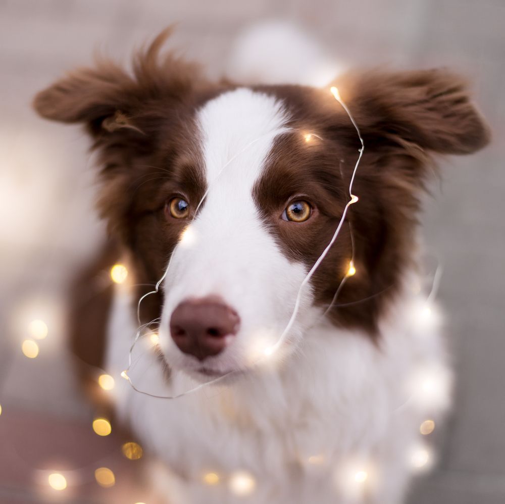 Photograph by Анна Айбетова