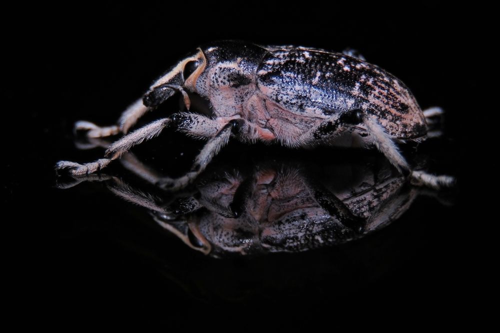 Photograph by Amin Ghaffarian