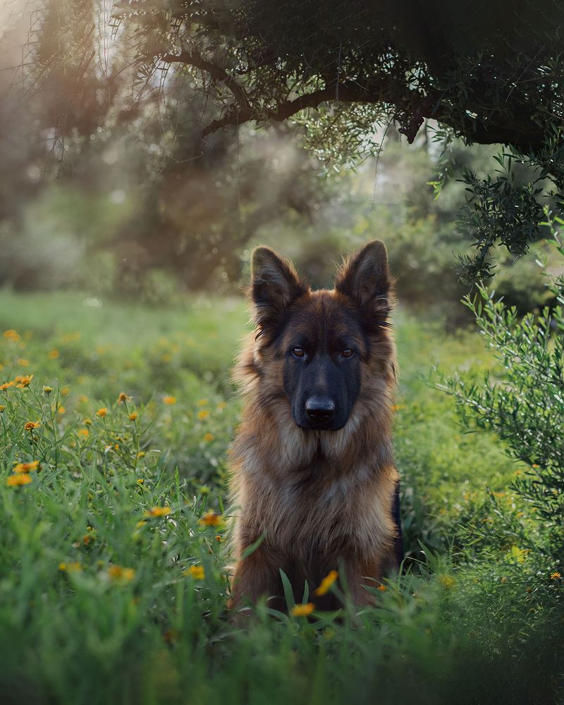 Photograph by Noelia Prossetti