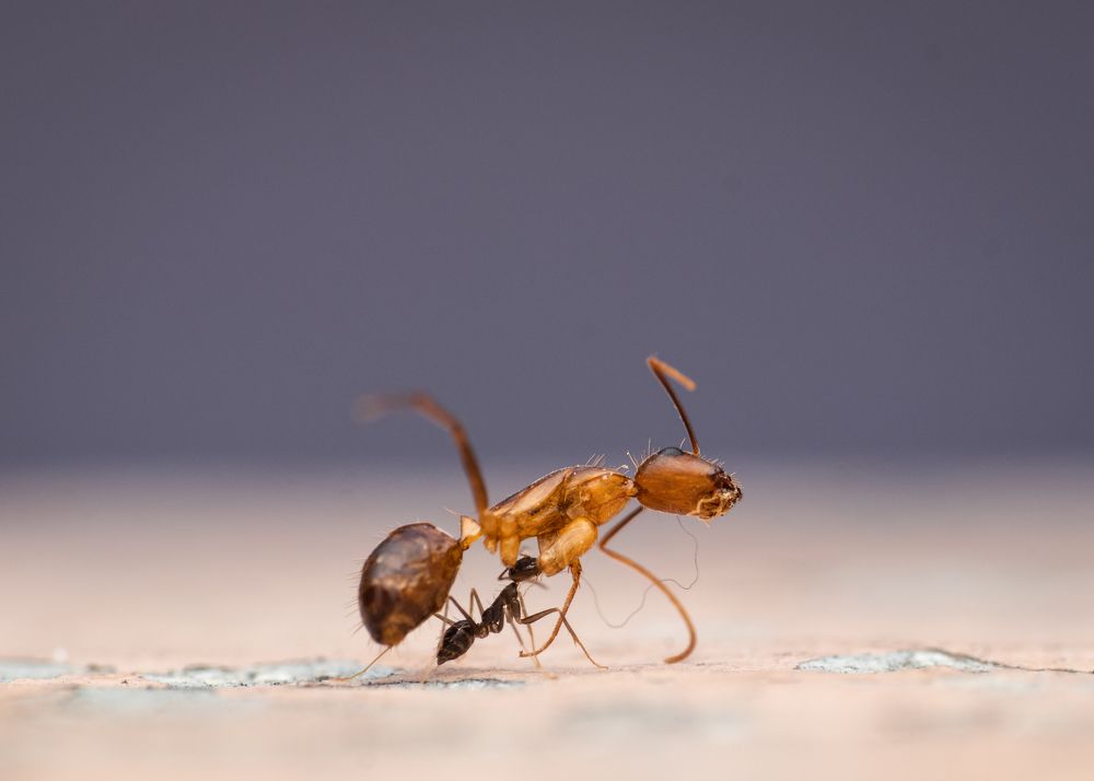 Do not underestimate!