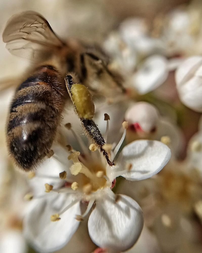 Photograph by Валентина Шевченко