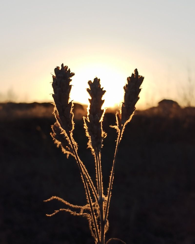 Photograph by Валентина Шевченко