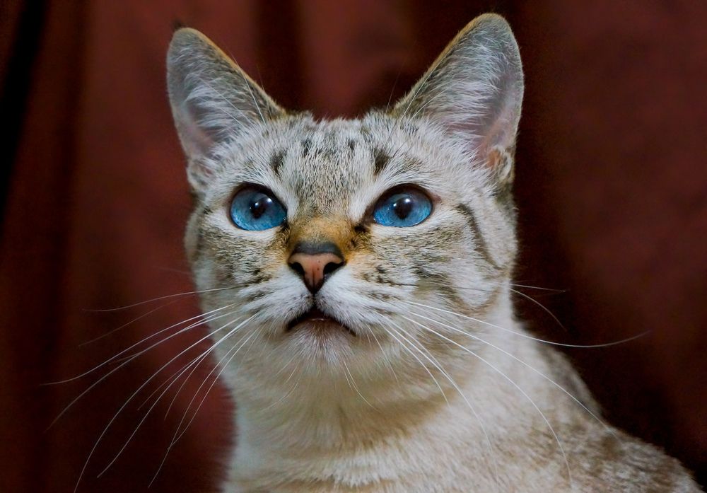 Фотография автора Виталий Зейфер