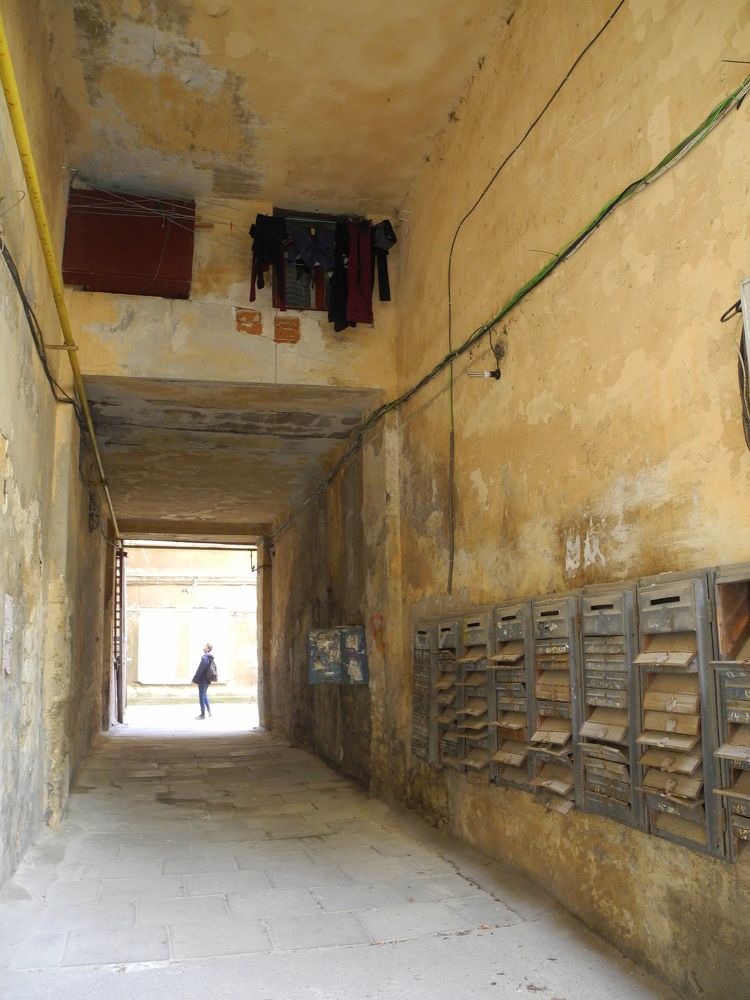 Photograph by Елена Литвин