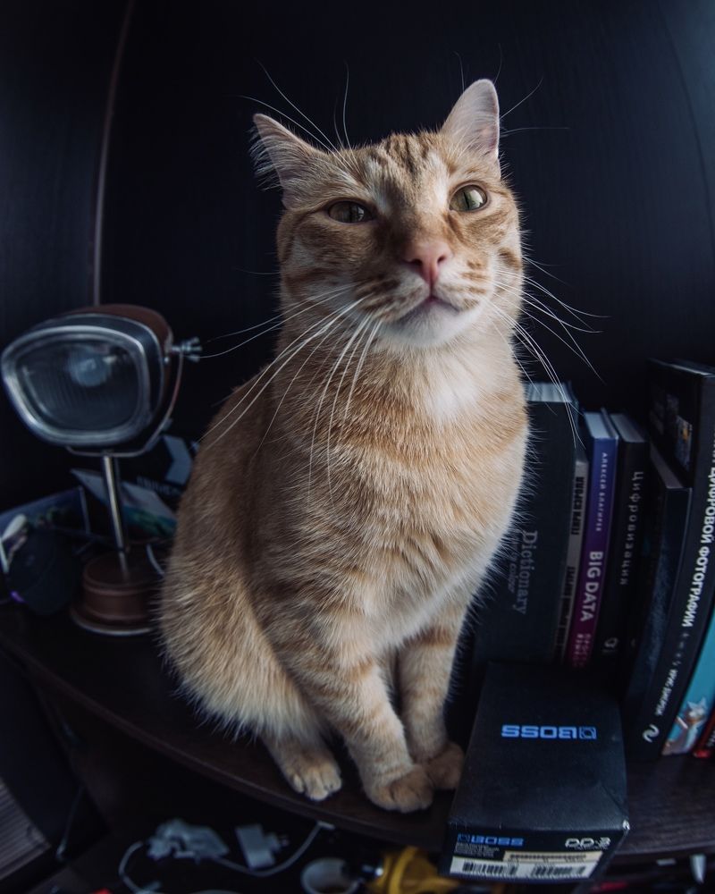 Photograph by Артур Газиев