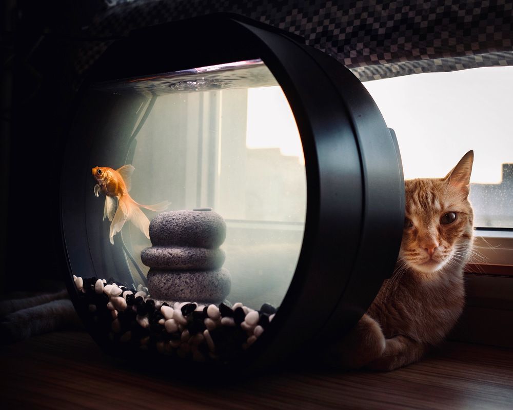 Photograph by Артур Газиев