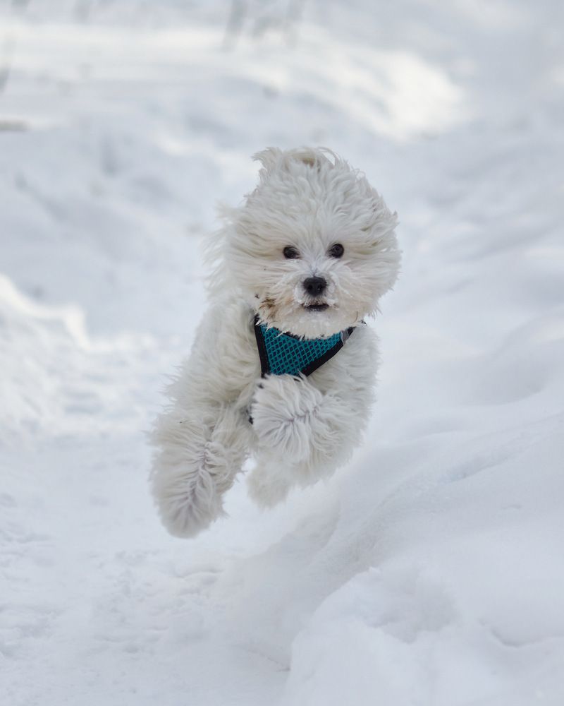 Photograph by Артур Газиев