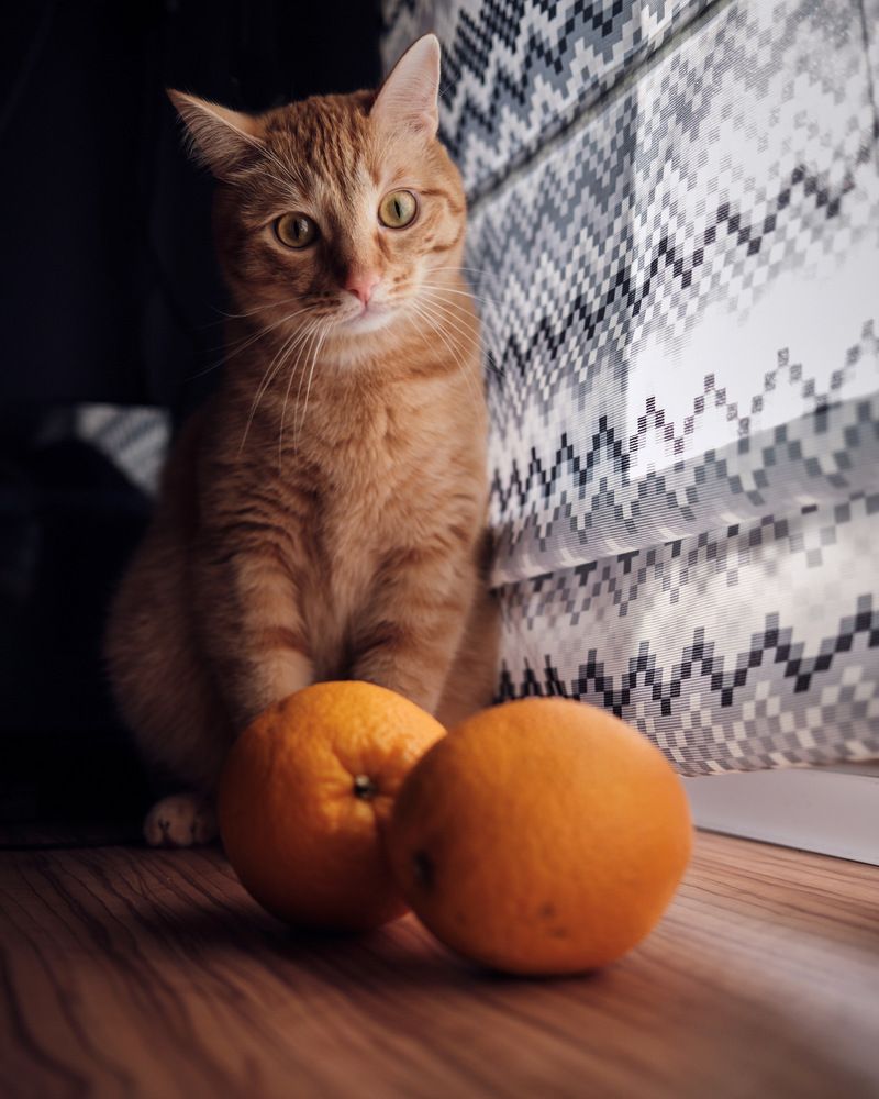 Photograph by Артур Газиев