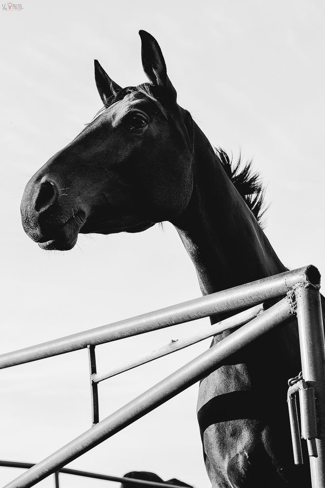 Photograph by Горин Стас