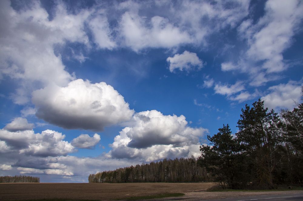 Перед грозой