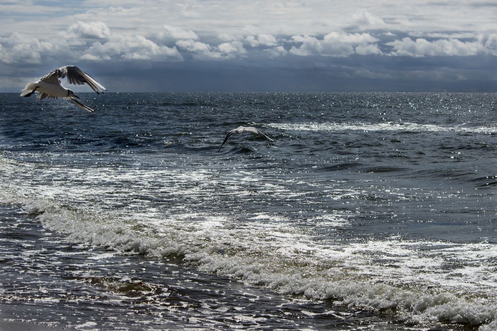 Облака — вечные изменчивые странники.