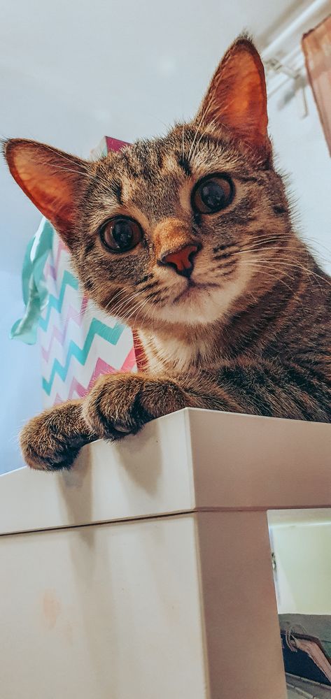 Фотография автора Марина Черникова