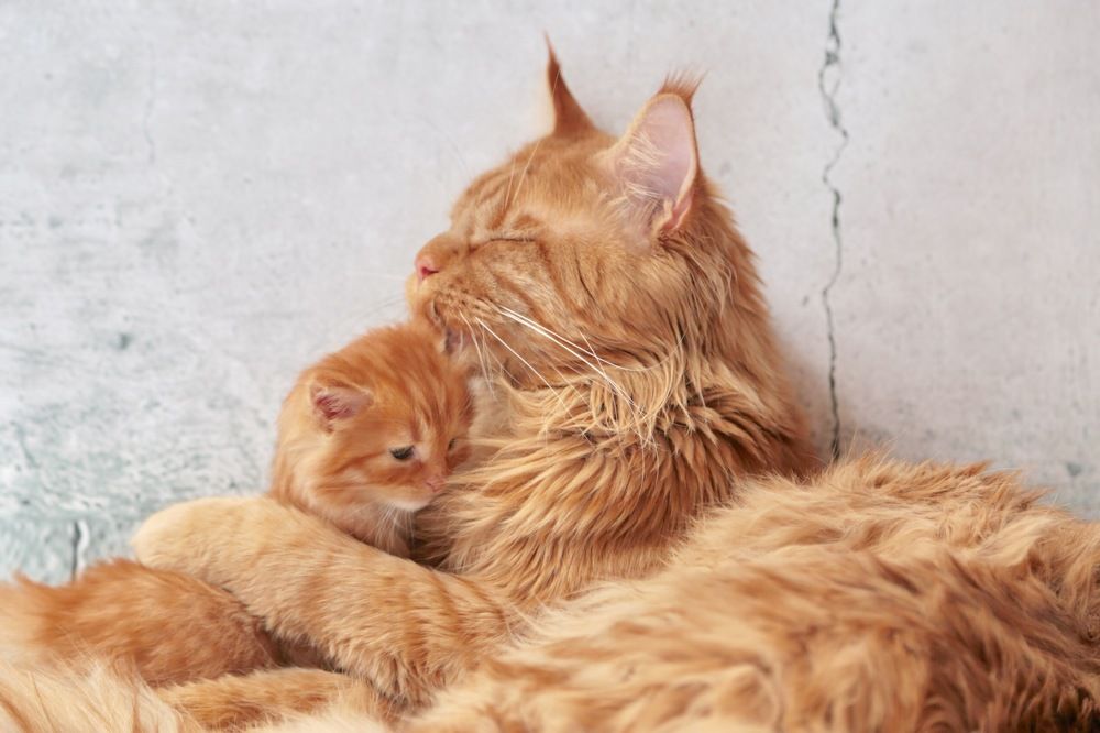 Photograph by ОЛЬГА КОВАЛЁВА