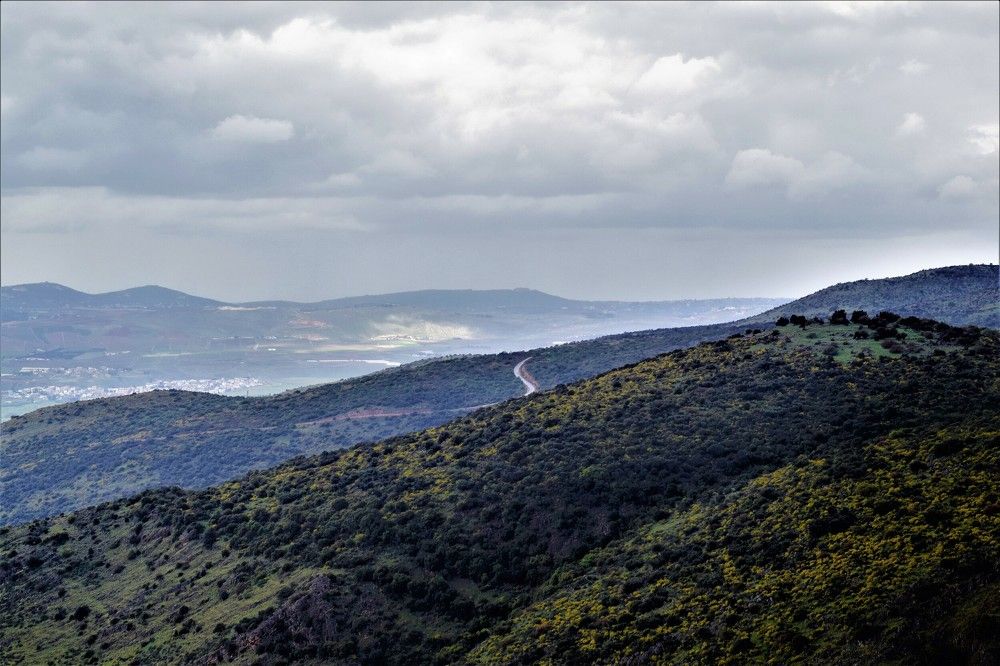 Photograph by Marina Eremin