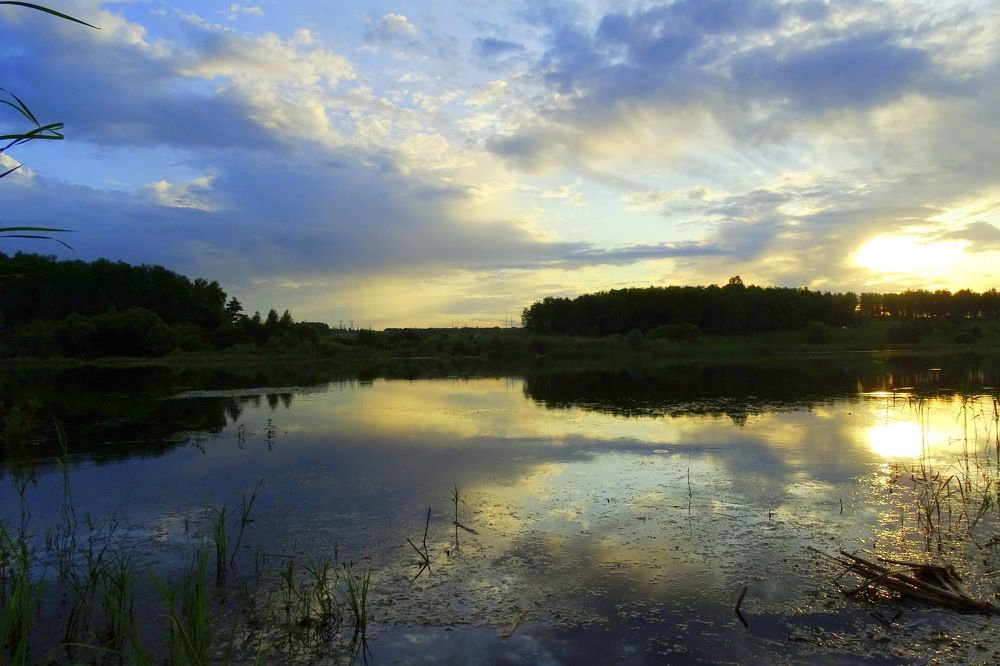 Отражаясь в воде.