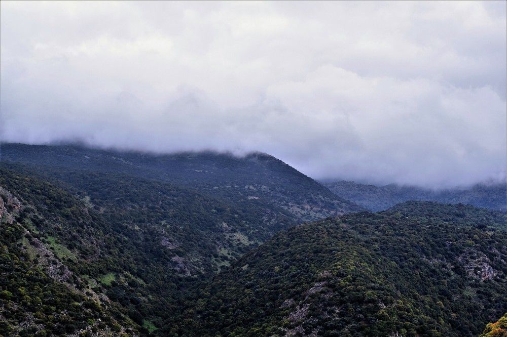 Photograph by Marina Eremin