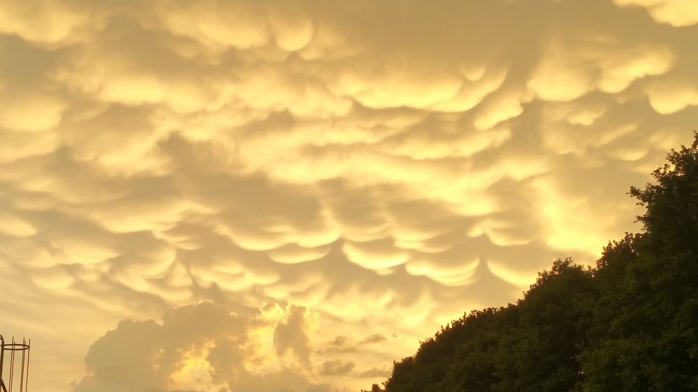 Photograph by Михаил Жарский