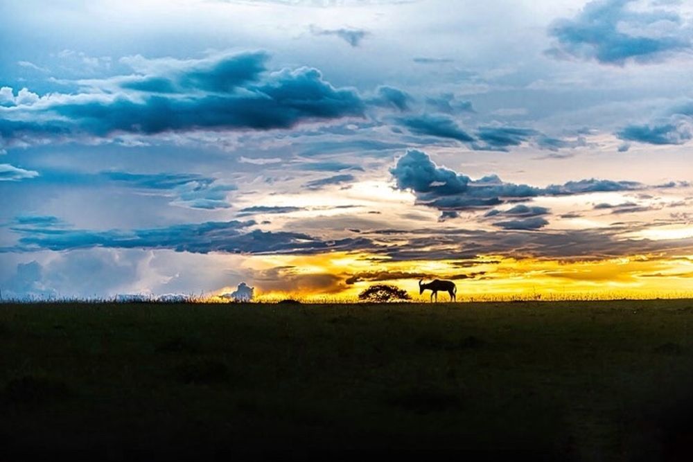 Photograph by Nifiba