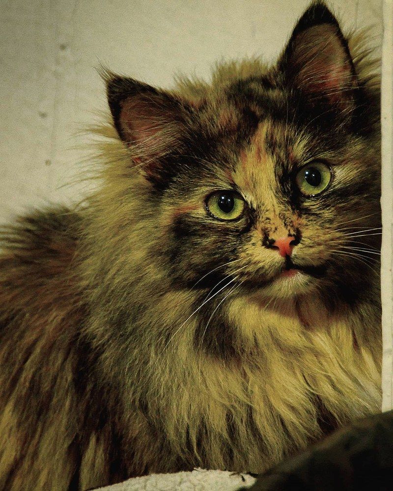 Photograph by Раиса Басова