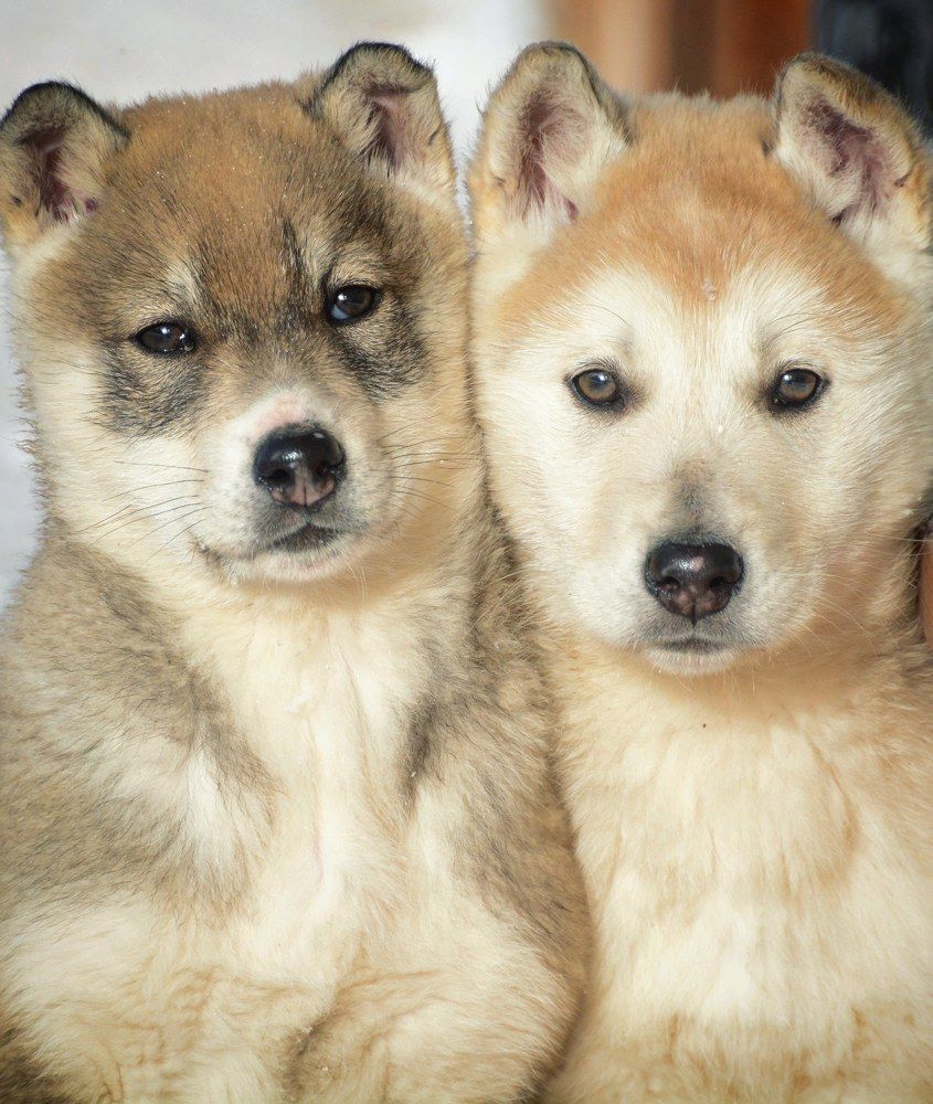 Photograph by Раиса Басова