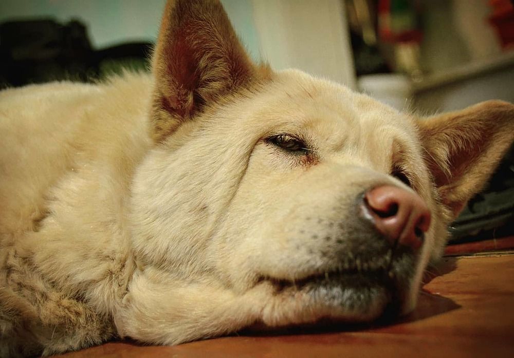 Photograph by Раиса Басова