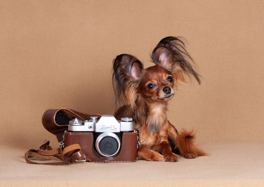 Photograph by Антонина Копытина