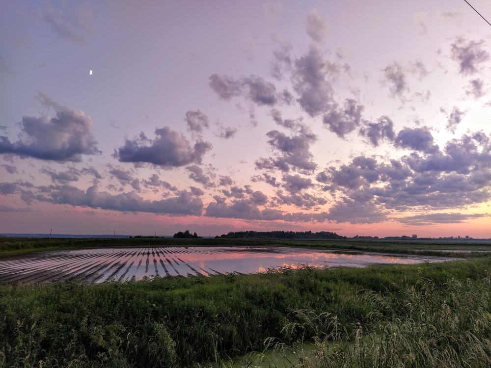 Photograph by Антонина Копытина