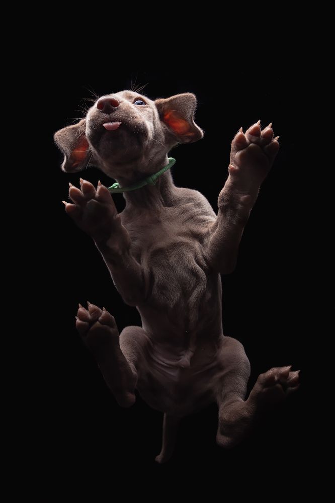 Photograph by Markus Bieck