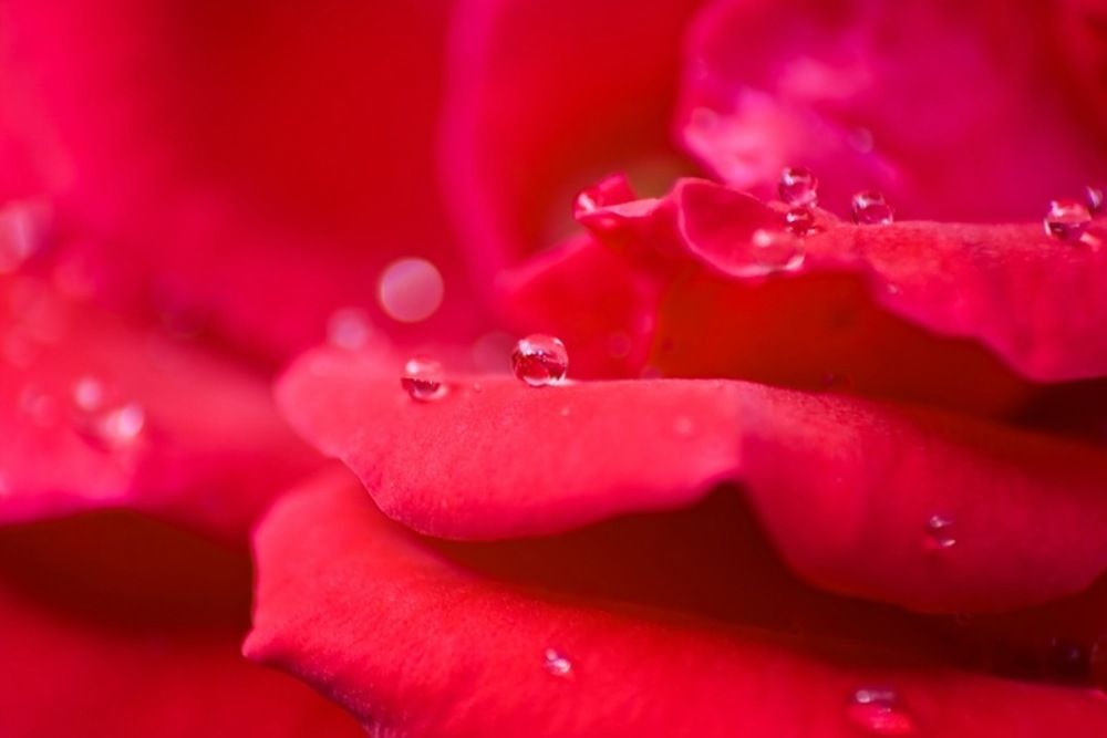 После дождя