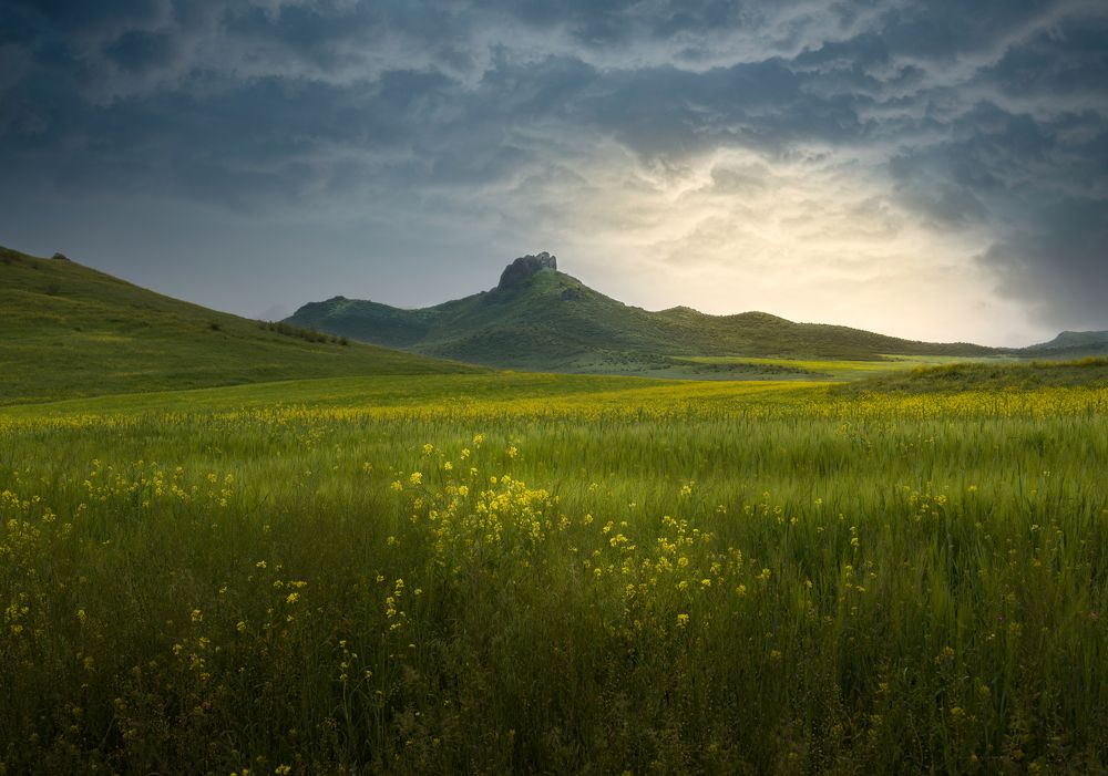 Photograph by Helen Vasilieva