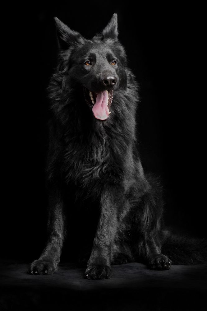 Photograph by Mohammad Hossein Imani