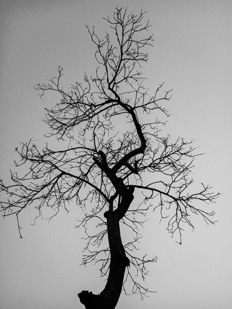 Photograph by Bhadra Utpal