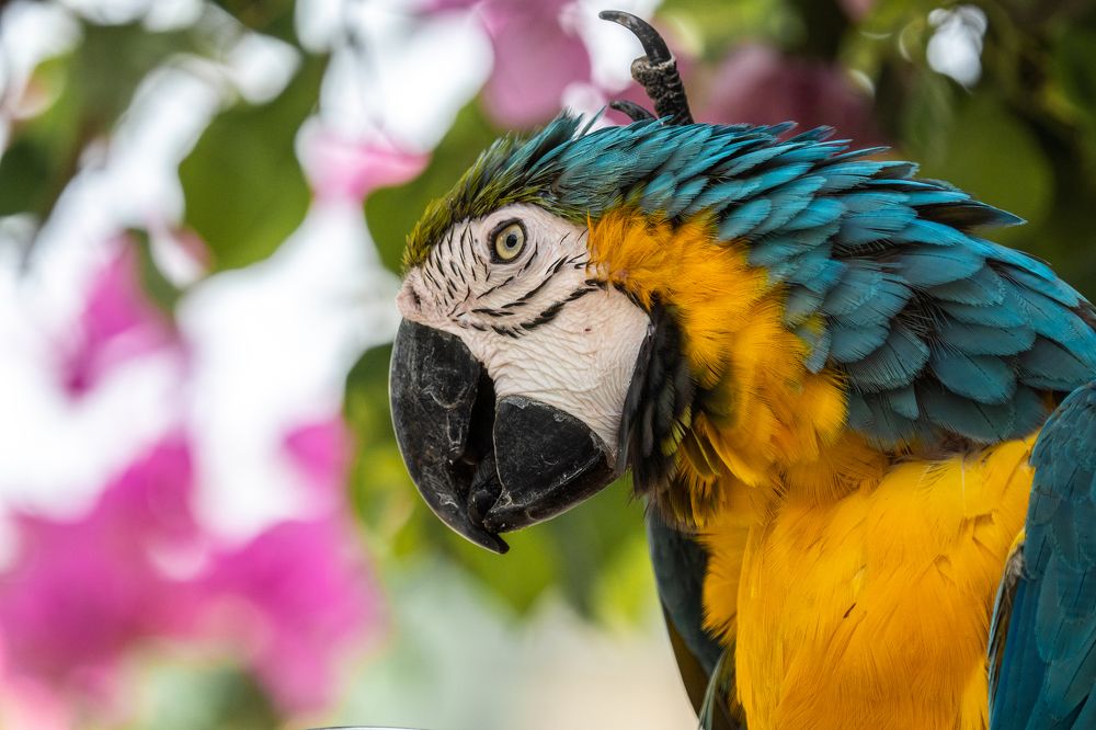 Фотография автора Prejul Prakash