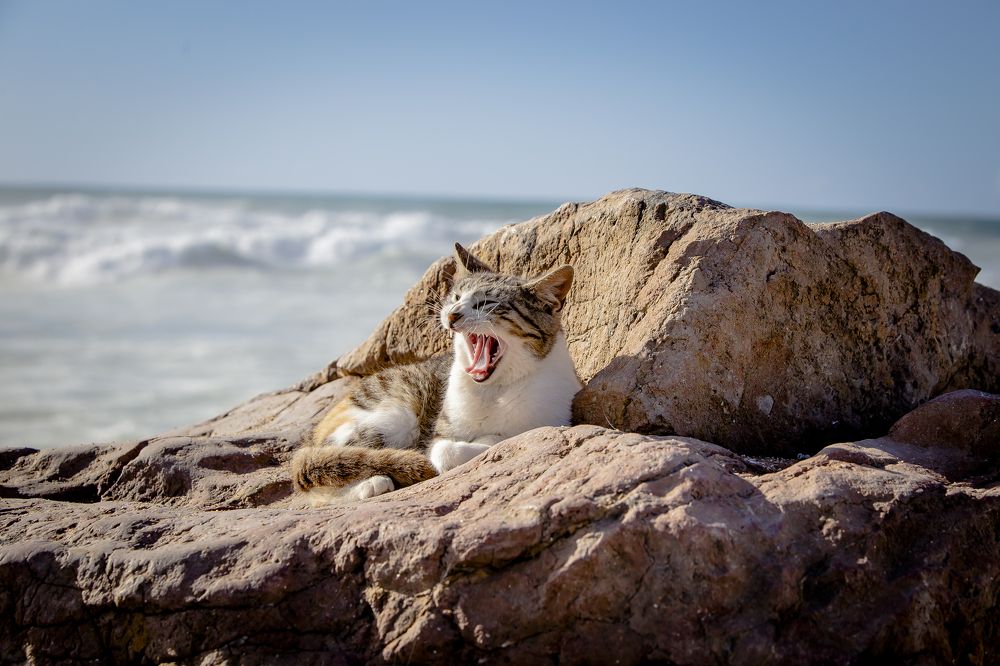 Photograph by Katja Sen