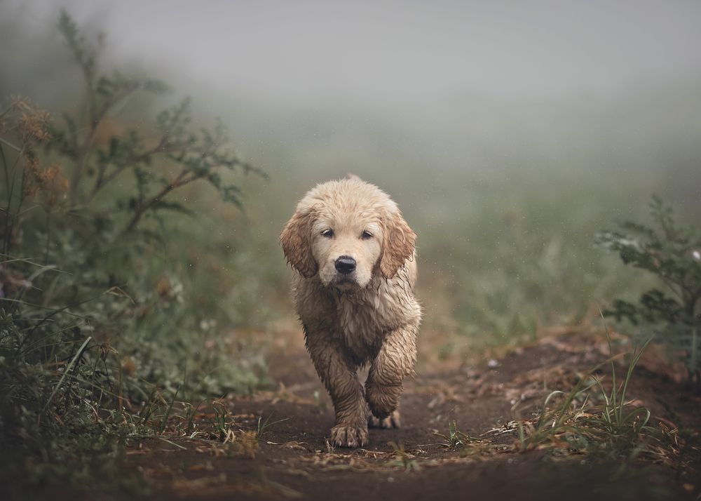 Photograph by victoria ruiz