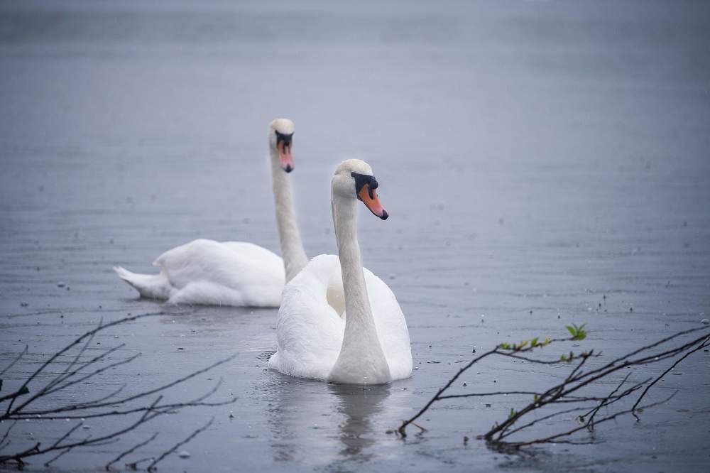 Photograph by Любовь Онщенко