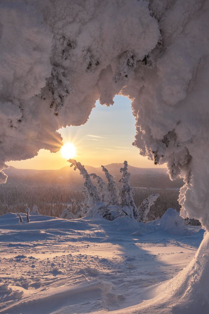 Photograph by Алёна Ивочкина